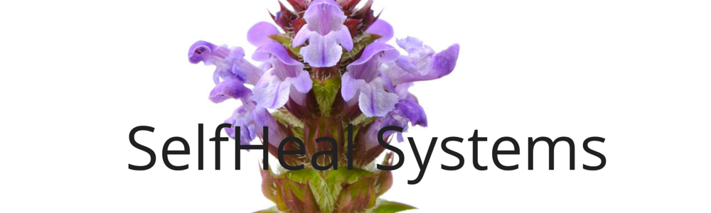 SelfHeal Systems Counselling in Cumbria